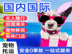 北海福成空运国际宠物托运 【国